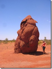 giant-termite-mound